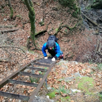 Sokolia roklina